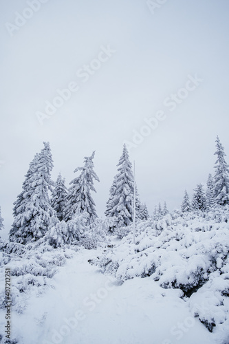 Krokonose mountains is located in northeastern Bohemia and in the south of the Polish part of Silesia. The highest mountain in the Giant Mountains and the whole of the Czech Republic is Snezka 1603m.