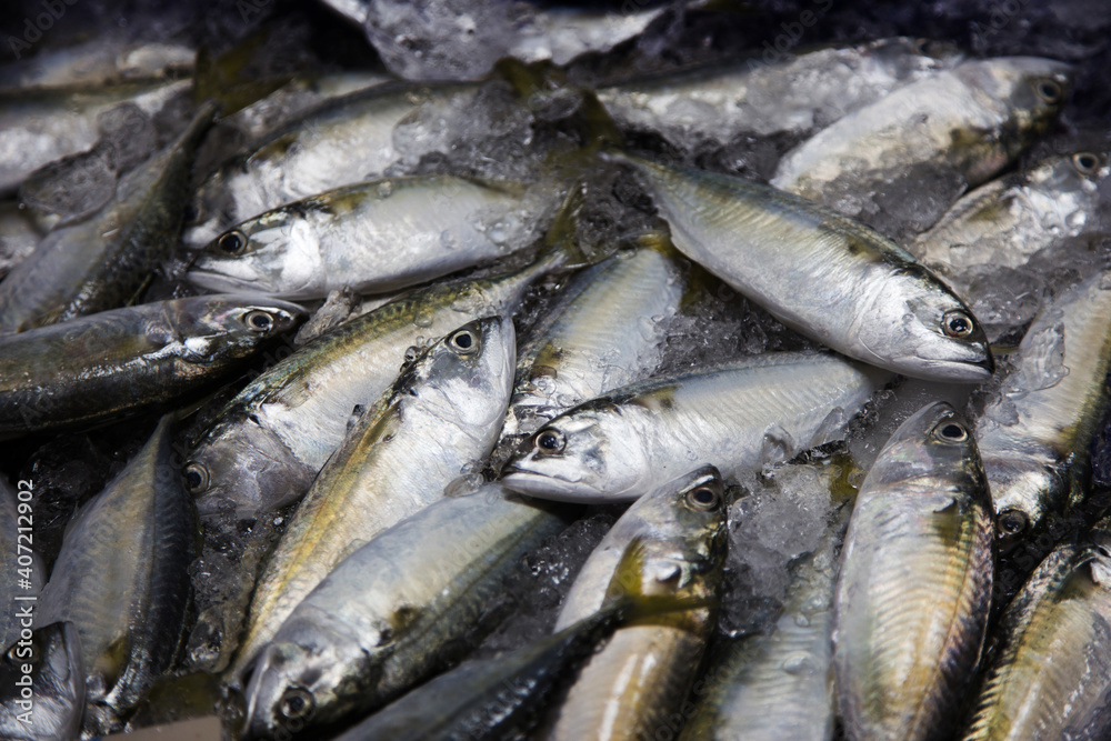 Macarealor sadine  fish on ice in fisherman bucket to serve on market