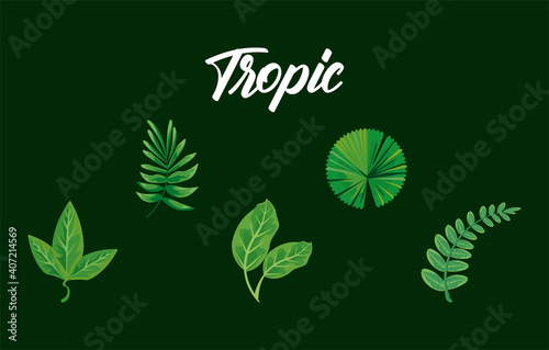 bundle of four leaves plants green nature icons and tropic lettering