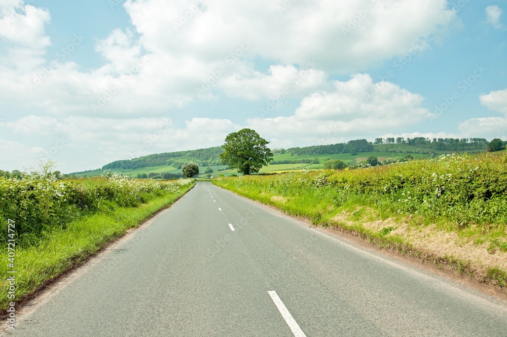 Fototapeta premium Summertime road in the countryside