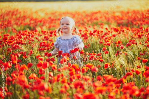Photos Adorable toddler girl in blue dress walking in the field of blooming poppies