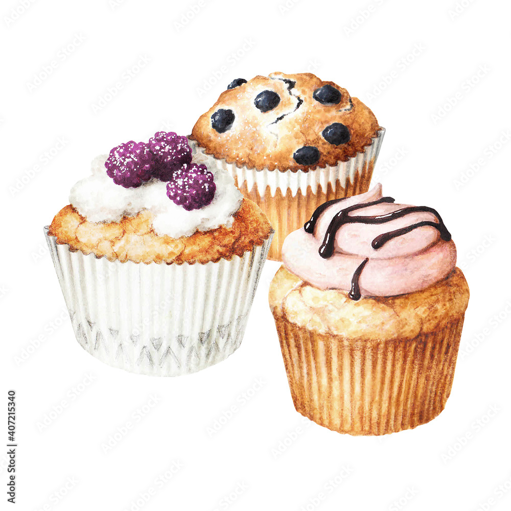 Sketch of muffins beautiful and delicious pastries picture 20