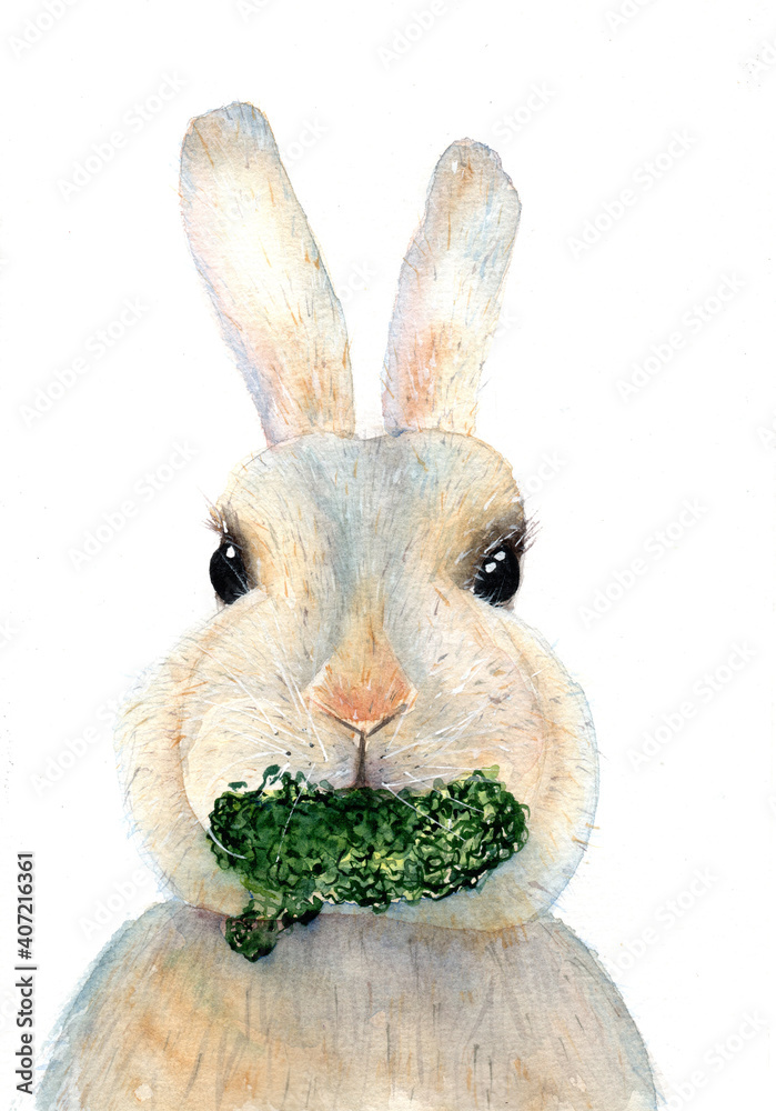 Naklejka premium Watercolor illustration of a bunny with salad in its mouth on a white background