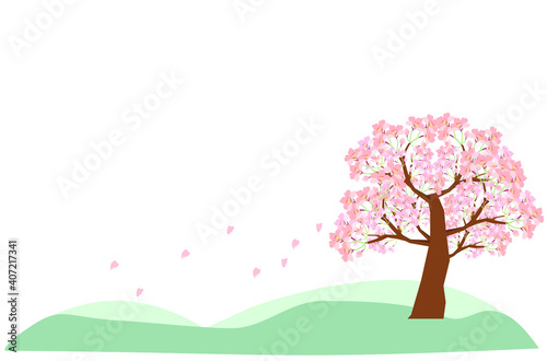 丘に咲く桜の花　背景素材