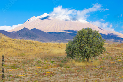 Sultan Marshes Protection Area is within the boundaries of Develi and Yeşilhisar districts of Kayseri province in the Central Anatolia Region. photo