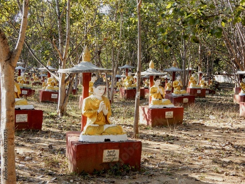 Photography 1000 buddhas forest, Myanmar