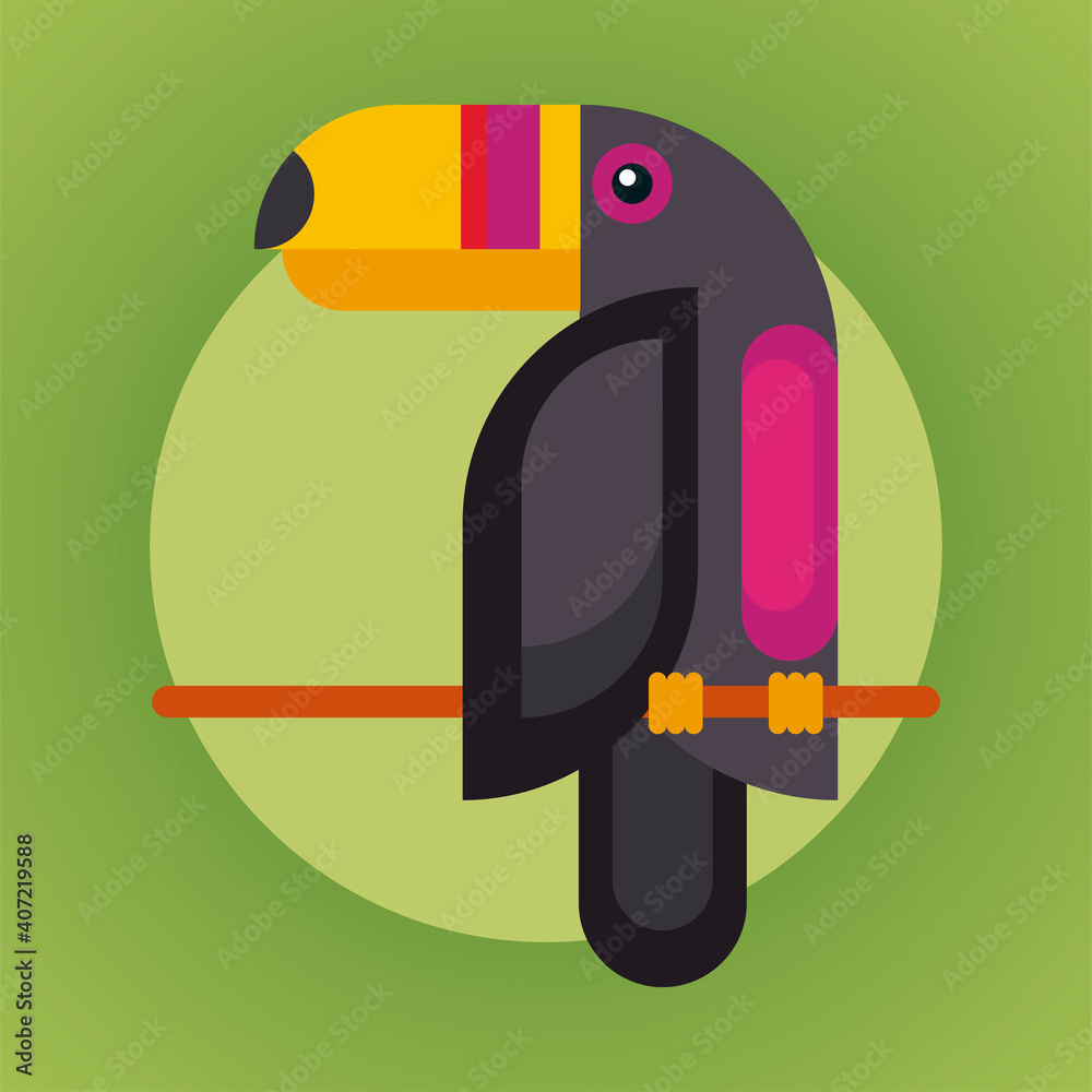 Fototapeta premium wild toucan bird animal exotic character