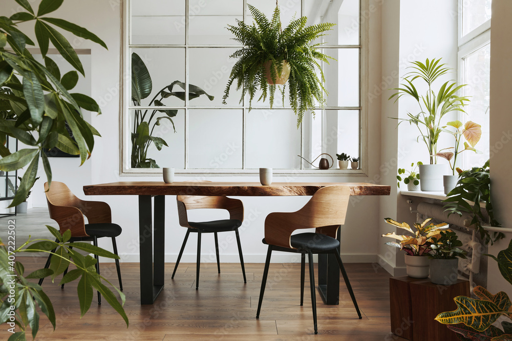 Stylish and botany interior of dining room with design craft wooden table, chairs, a lof of plants, big window, poster map and elegant accessories in modern home decor. Template.