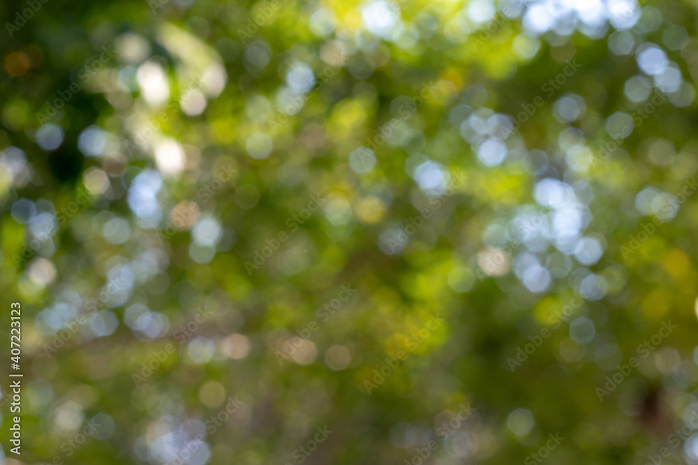 Obraz premium A blur of light through the leaves