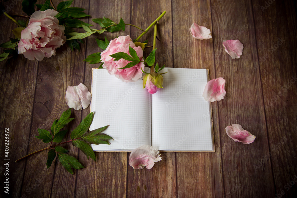 pink blooming peonies on a detailed blank notebook pink blooming peonies on a detailed blank notebook
