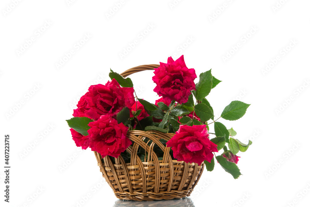 bouquet of beautiful red roses isolated on white