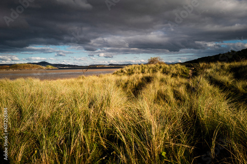 Ards Forest in Irland County Donegal