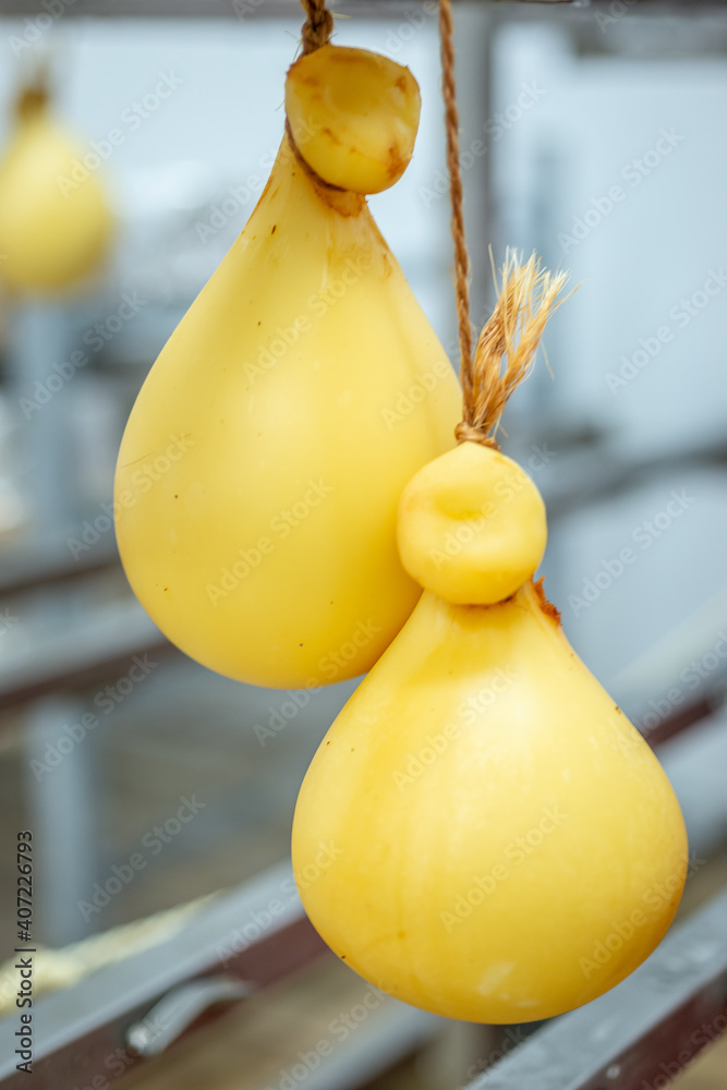 SARDEGNA OSCHIRI