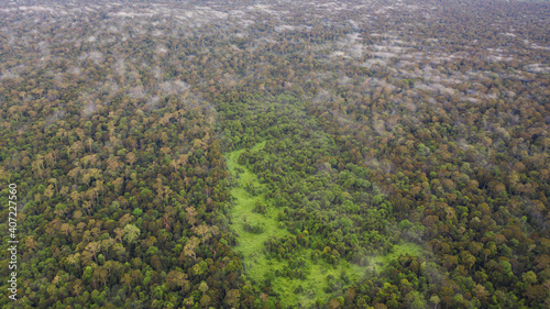 Aerial view of the Borneo rainforest at Klias Forest Reserve  Beaufort Sabah.