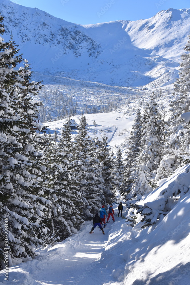 narciarze skiturowi w Tatrach, turyści na szlaku w Dolinie Gąsienicowej, uprawianie sportów zimowych