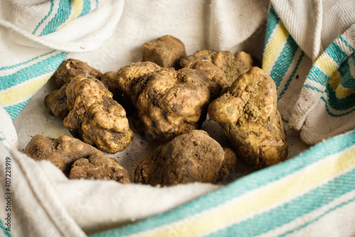 A bunch of white truffle in a basket photo