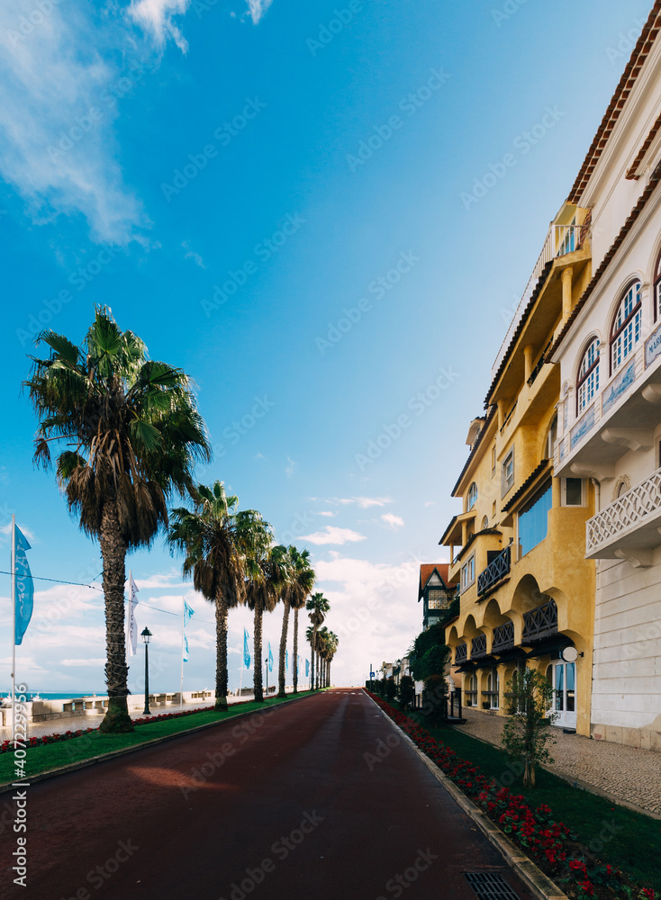 Beautiful street lined with palm trees in Cascais Portugal. Cascais is popular vacation spot for Portuguese and foreign tourists.