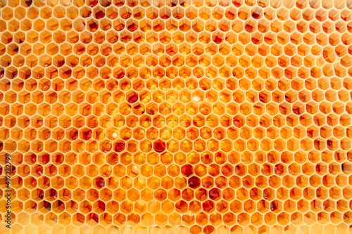 unverdeckelter Honig