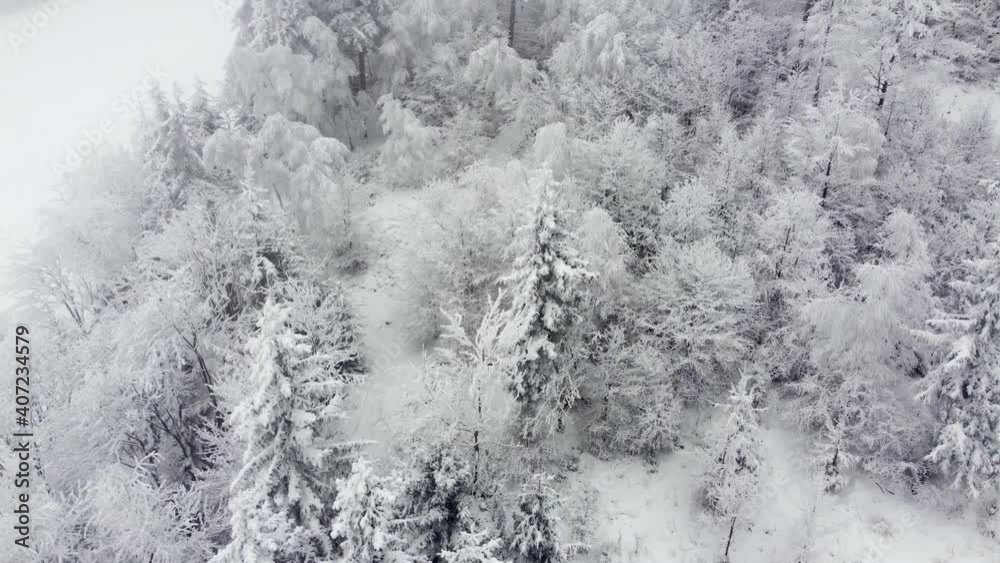 Aerial view of a mountain forest during a blizzard, snowfall. The trees are drowning in clouds, the landscape is white, winter and cloudy. Aerial view of a mountain forest during a blizzard, snowfall. The trees are drowning in clouds, the landscape is white, winter and cloudy.