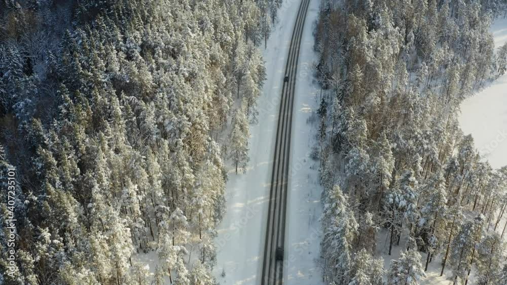 Snow Covered Forest In A Cold Winter Day - aerial shot Snow Covered Forest In A Cold Winter Day - aerial shot