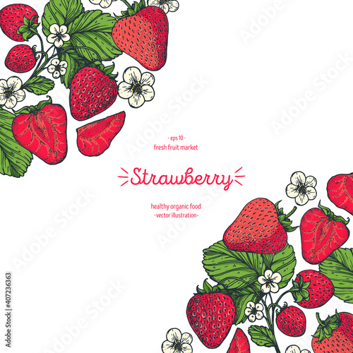 Strawberry frame, hand drawn vector illustration. Strawberries design template . Strawberry hand drawing