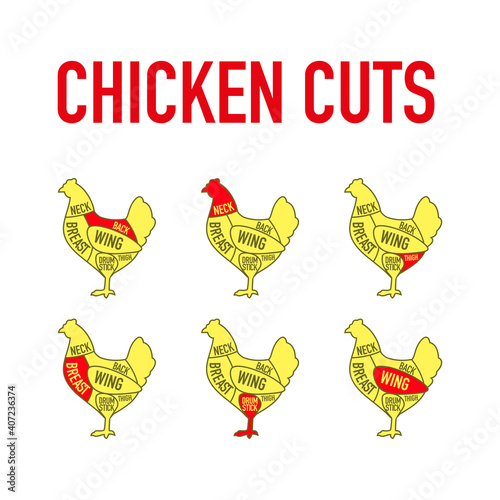 Chicken cuts. Diagrams and scheme for butcher shop. Farm animal - Poultry. Vintage style poster. Vector illustration.
