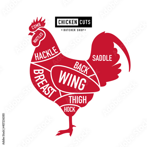Chicken cuts. Diagrams for butcher shop. Scheme of cock. Farm animal - Poultry. Vintage style poster. Vector illustration.