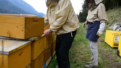 Two beekeepers working with the beehives - 3
