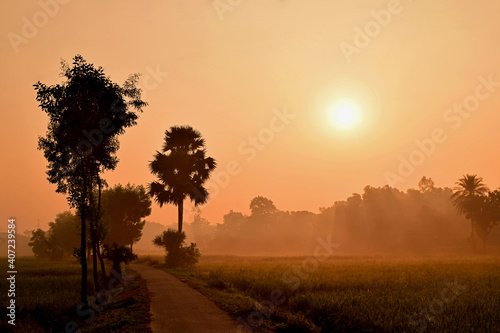 Winter nature beauty in rural place. South asian winter morning nature   