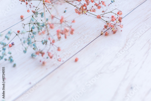 Dry flowers on wooden background, selective focus, spring mood