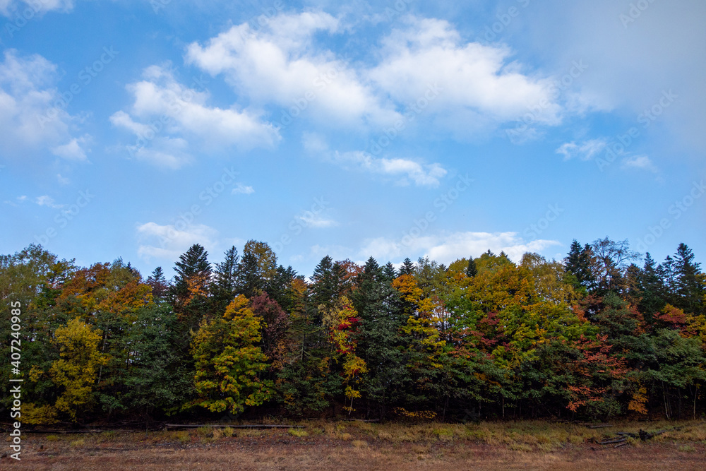 秋の上士幌町糠平湖の紅葉の風景