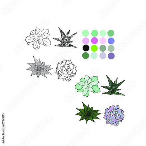 Vector coloring of a set of cactus for a book. The clue with flowers. Print for coloring, florists, cacti, logo, line art