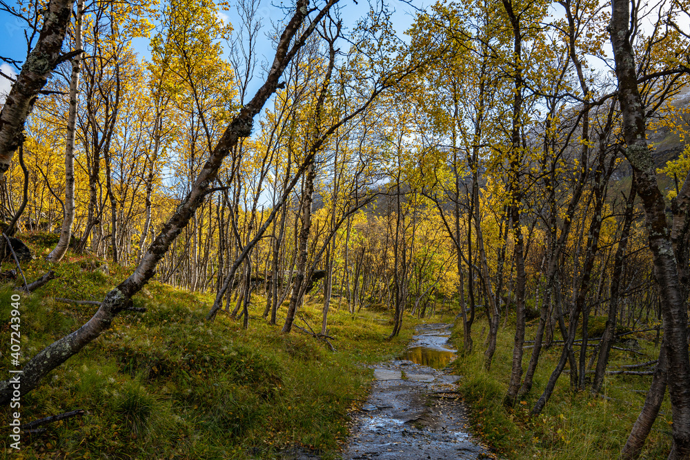Fototapeta premium Hiking way with water on it