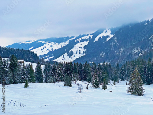 Mystical winter atmosphere in a coniferous forests on the Alpstein range in Appenzell Alps massif, Ennetbühl or Ennetbuehl - Canton of St. Gallen, Switzerland (Schweiz) photo