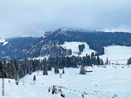 Mystical winter atmosphere in a coniferous forests on the Alpstein range in Appenzell Alps massif, Ennetbühl or Ennetbuehl - Canton of St. Gallen, Switzerland (Schweiz) photo