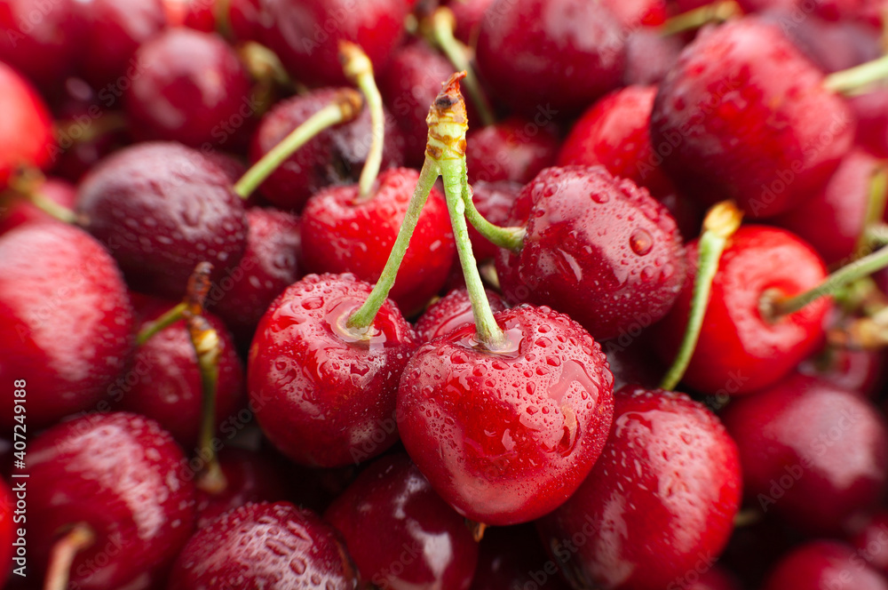 cherry focus macro detail closeup cherry focus macro detail closeup