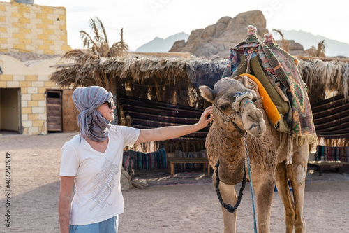 Canvas-taulu Woman with traditional bedouin head scarf stroking camel