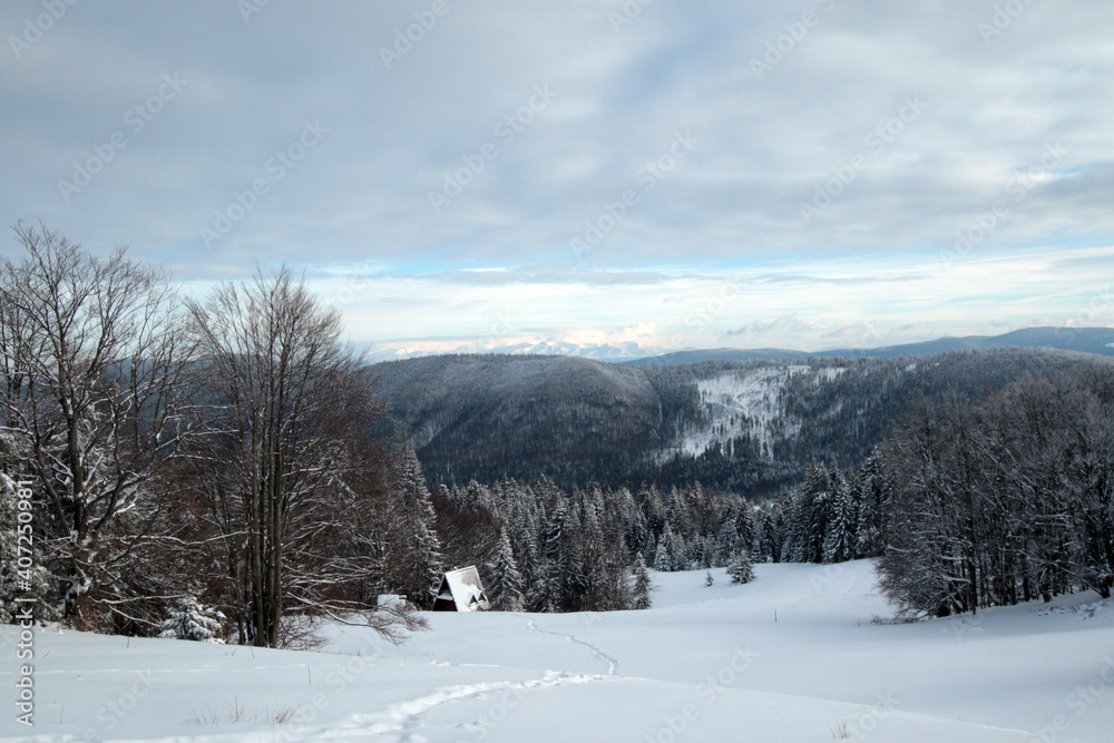 Winter landscape of Zywiec Beskids, near Rysianka peak, Poland Winter landscape of Zywiec Beskids, near Rysianka peak, Poland