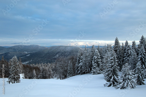 Fototapeta Naklejka Na Ścianę i Meble -  Winter landscape of Zywiec Beskids, near Rysianka peak, Poland