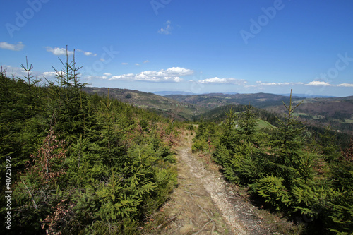Fototapeta Naklejka Na Ścianę i Meble -  Landscape of Zywiec Beskids, Poland
