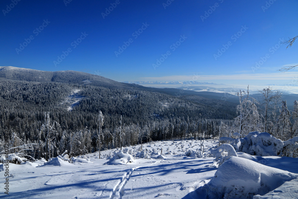 Landscape of Zywiec Beskids in winter, Poland