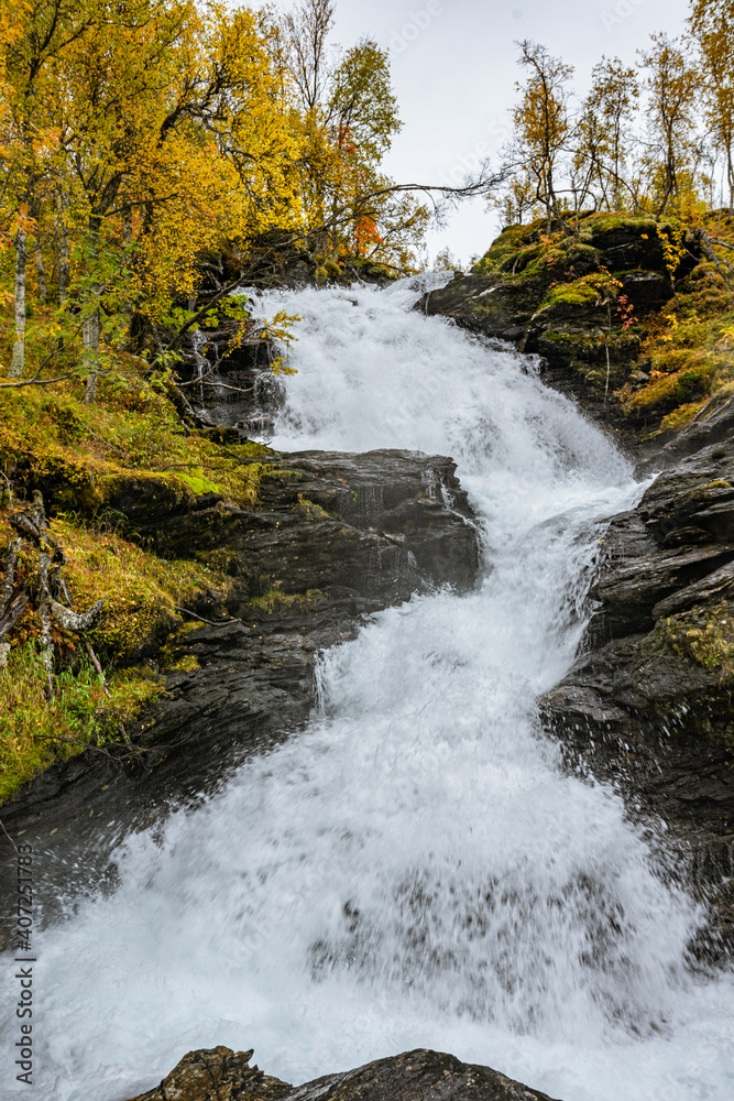 Waterfall with yellwo trees on the side Waterfall with yellwo trees on the side