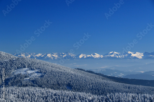 Fototapeta Naklejka Na Ścianę i Meble -  Tatra mountains range, view from Rysianka peak in Zywiec Beskids in winter, Poland