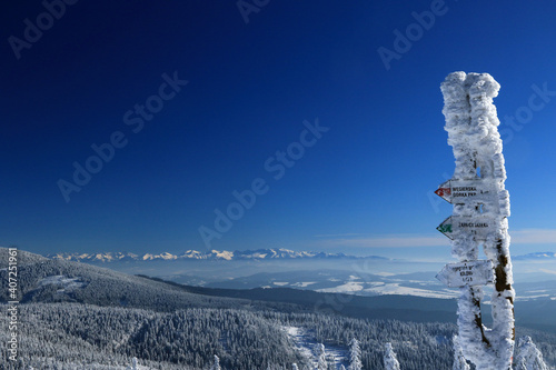 Fototapeta Naklejka Na Ścianę i Meble -  Tatra mountains range, view from Rysianka peak in Zywiec Beskids in winter, Poland