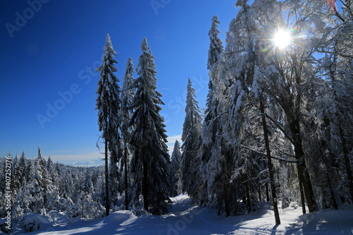 Fototapeta Naklejka Na Ścianę i Meble -  Landscape of Zywiec Beskids in winter, Poland