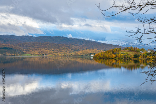 Shore from a lake with trees in the foreground