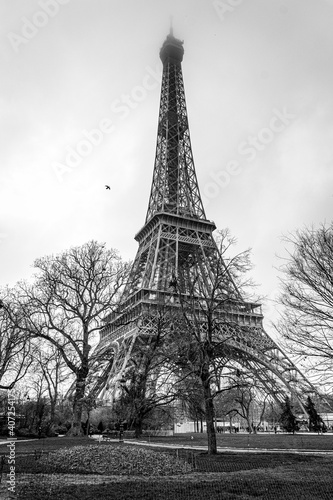 Fototapeta Naklejka Na Ścianę i Meble -  Eiffel Tower in the fog