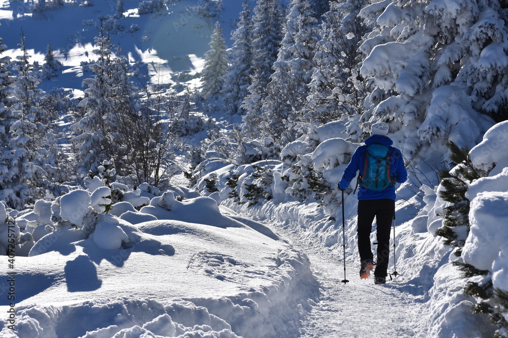 Turyści na szlakach w Tatrach, Dolina Gąsienicowa w Tatrzańskim Parku