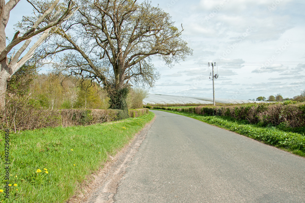 Fototapeta premium Springtime road in the countryside