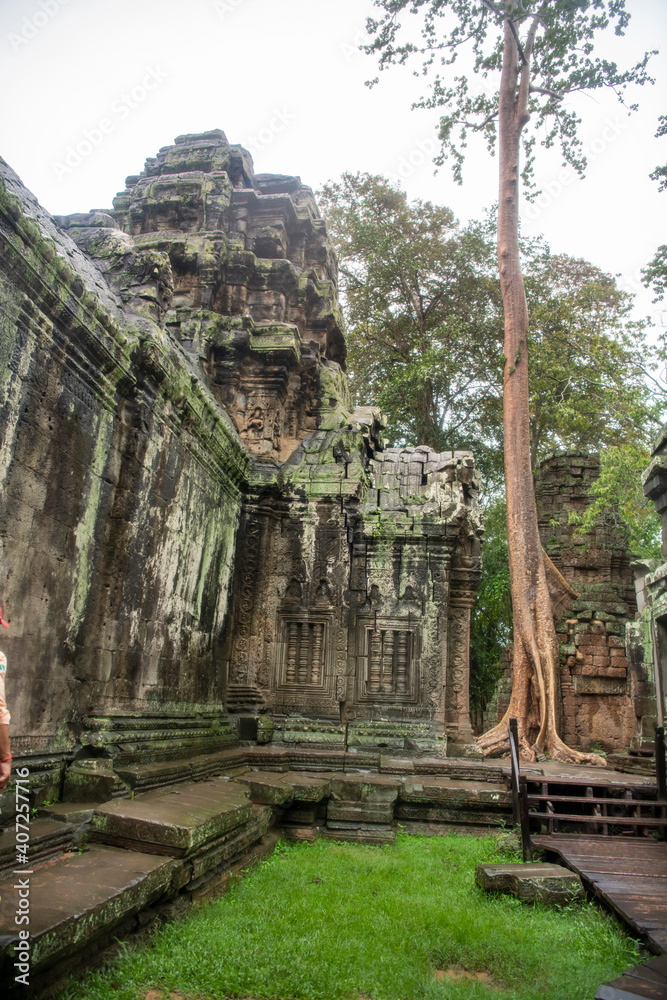Та Prohm is the temple, it rains in the rainy season.The preserved symbiosis of stone and wood allows us to see Ta Prohm in this form.(Cambodia, 04.10. 2019).